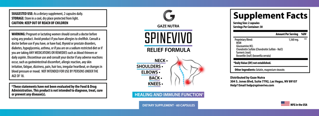 SpineVivo by Gaze